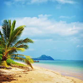 tropical beach with palm, Andaman Sea, Thailand