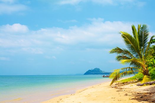 tropical beach with palm, Andaman Sea, Thailand