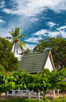 bungalow resort in jungle, Koh Lanta, Thailand