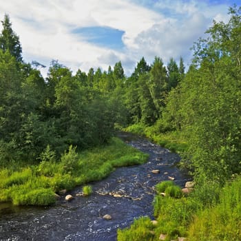 rough river in forest at summer day