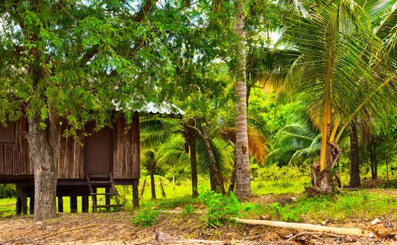 hut in jungle, Koh Lanta Noi, Thailand