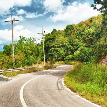 asphalt highway in jungle, Koh Lanta Noi, Thailand