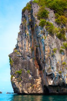 tall cliff with trees at Andaman Sea, Thailand