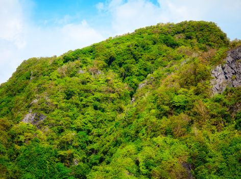 mountains with green trees in Krabi, Thailand