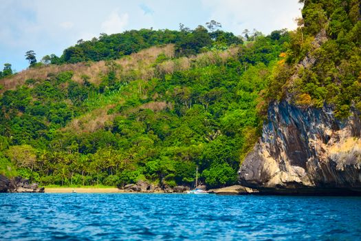 jungle island in Andaman Sea, Krabi, Thailand