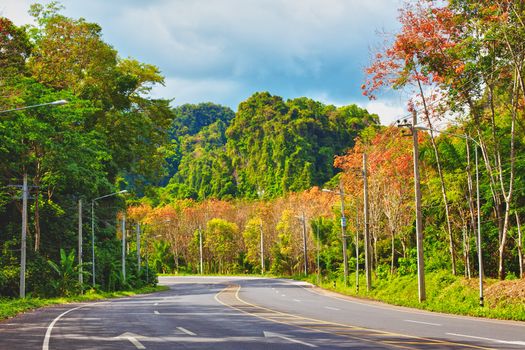 asphalt highway in jungle with mount, Krabi, Thailand