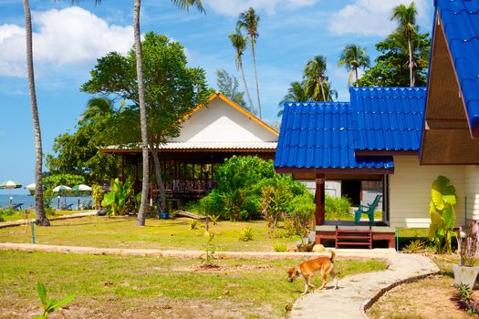 bungalow resort in jungle, Koh Lanta, Thailand