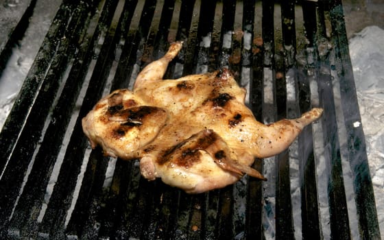 grilling poultry quails in a restaurant