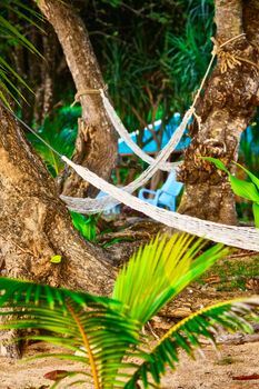 empty hammocks between palms at sandy beach