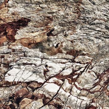 texture of rocks on shore, Thailand, close up