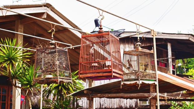 birds in a cages in traditional thai village