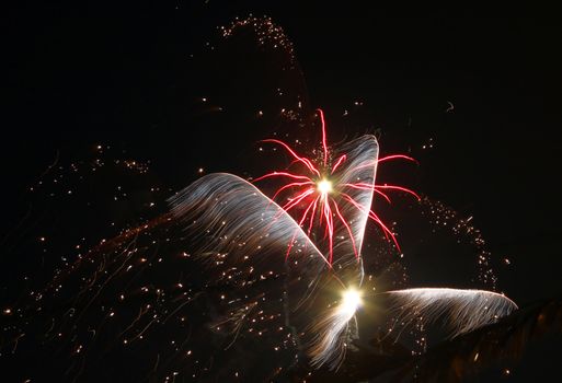 Fireworks burst on a windy dark night.