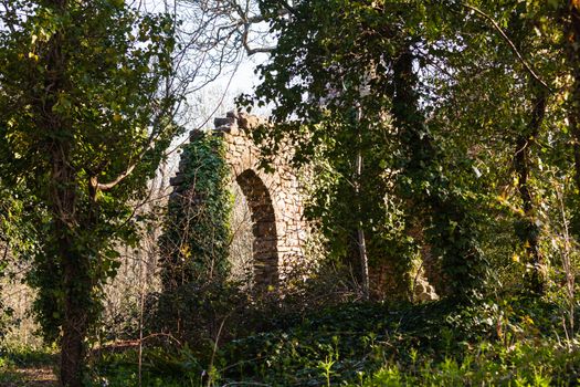 Forest trees overgrow walls of ruined castle