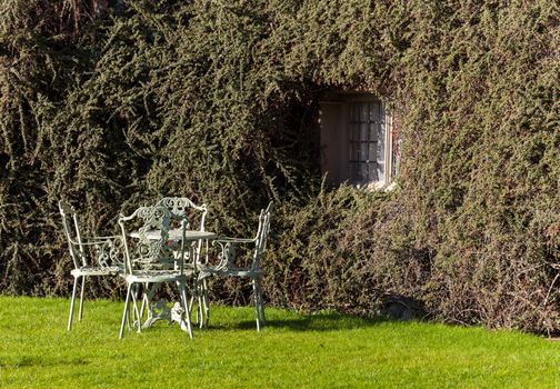 Cast iron garden table and chairs on lawn by bush on wall