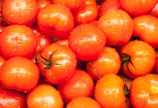 Raindrops on ripe red tomatoes in market stand