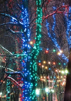 Christmas illuminations in a park in Moscow