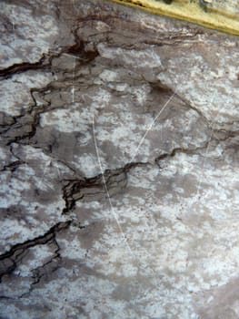 closeup on some black lined marble