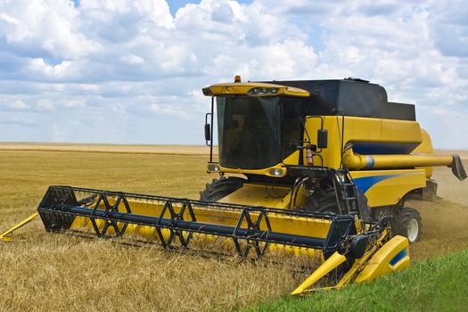 Yellow combine clean cereal in sunny day
