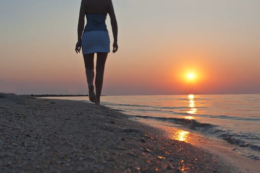 The siluette of girl against a background of a sunset
