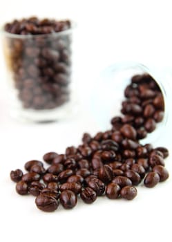 Coffee beans in glasses on white background