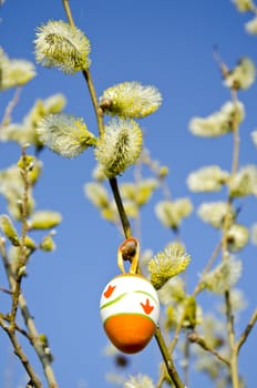 Painted Easter egg hanging on kittens tree branches on background of bluse sky. Nice spring decoration.