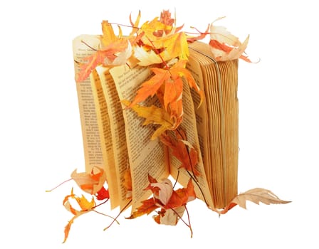Book under leaves isolated