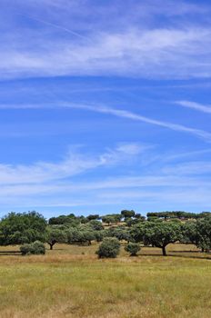 Rural landscape in Alentejo, Portugal