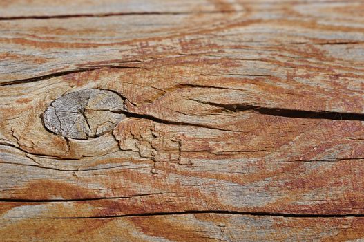 A piece of wood with the top out of focus for copyspace