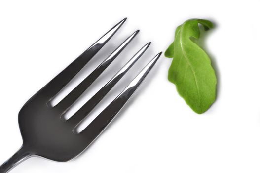 A fork  next to a rucola leaf to illustrate the concept of diets
