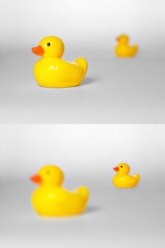 Shows the concept of Depth of Field using two rubber ducks