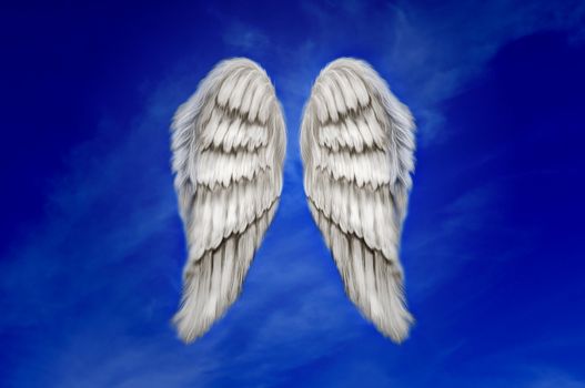 Angel wings on a dark blue sky