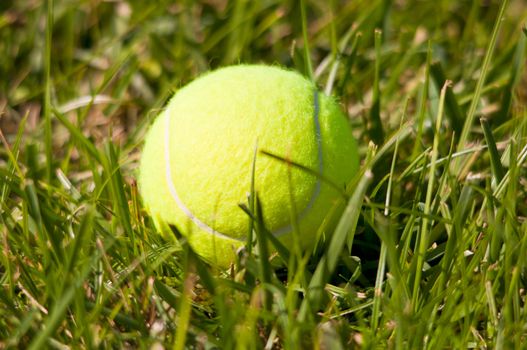 Tennis ball on a grass field