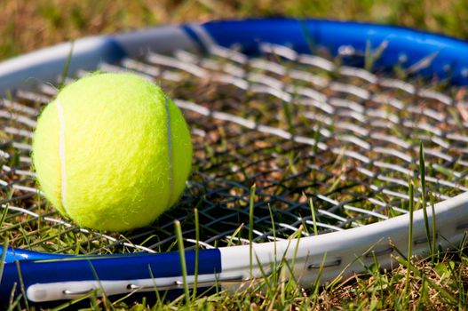 Tenis ball and racquet on grass