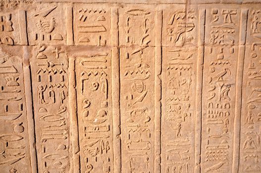 Hierogliphic scripts engraved on a wall