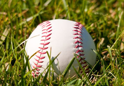 Image of a baseball on grass