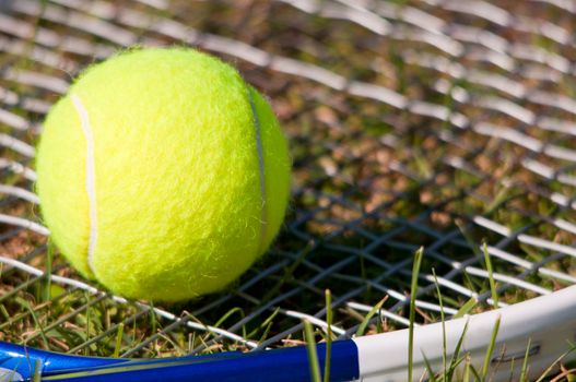 Tenis ball and racquet on grass
