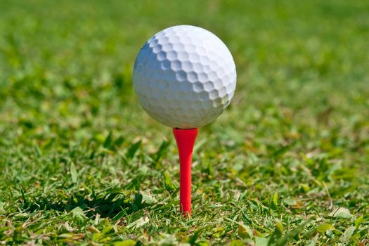 Golf ball on a real golf course green