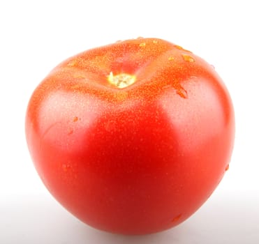 Tomato