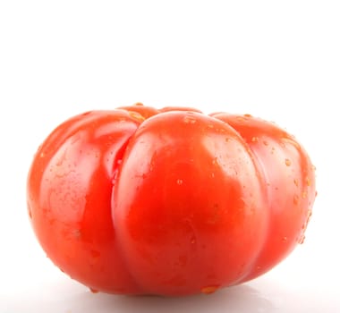 Tomato