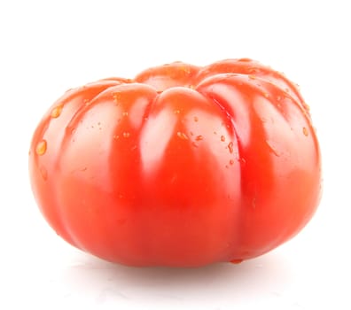 Tomato