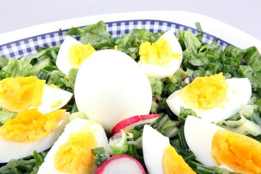 Green salad