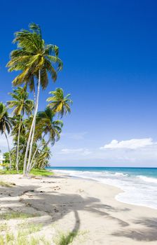 Sauteurs Bay, Grenada