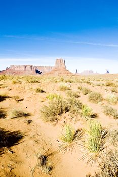 The Mitten, Monument Valley National Park, Utah-Arizona, USA