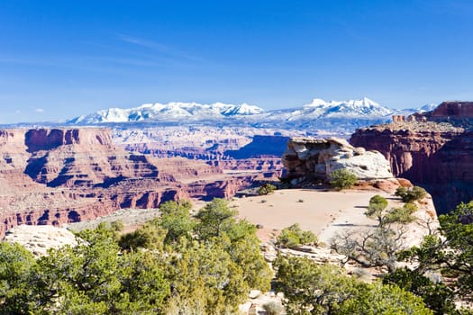 Canyonlands National Park, Utah, USA