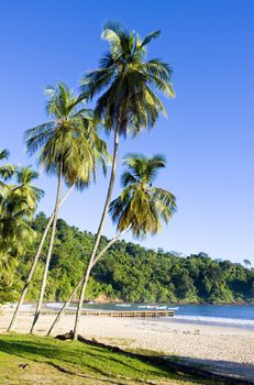 Maracas Bay, Trinidad