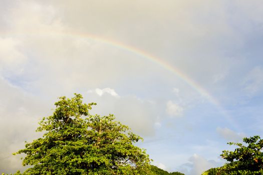 rainbow, Grenada