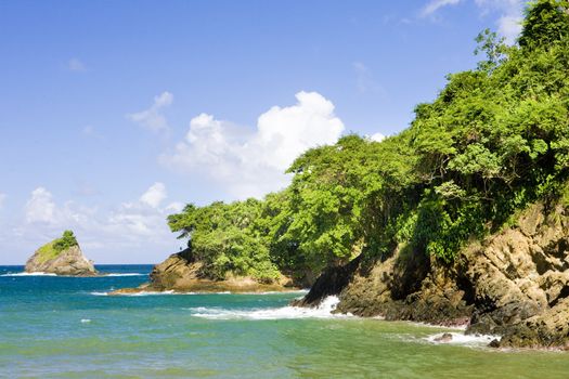 Western coast of Tobago