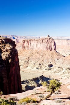 Canyonlands National Park, Utah, USA
