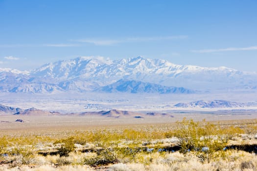 Death Valley National Park, California, USA