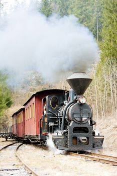 steam train, Ciernohronska Railway, Slovakia